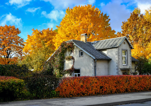 The Best Time to Move: A Moving Expert's Perspective